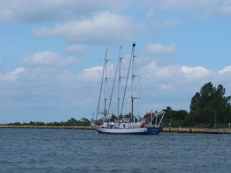DSCF7905a.jpg